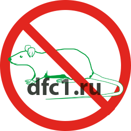 Уничтожение крыс в Анапе